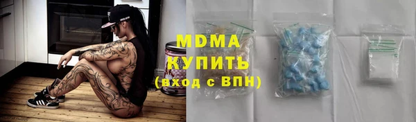 гашик Каменка
